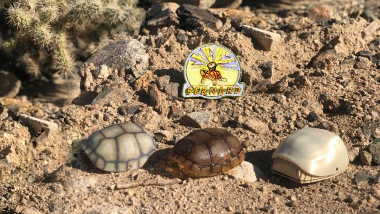 BERNARD prototype resting on the floor of the Ivanpah Valley on the day before the annual Desert Tortoise Symposium; east Mojave Desert, February 2020