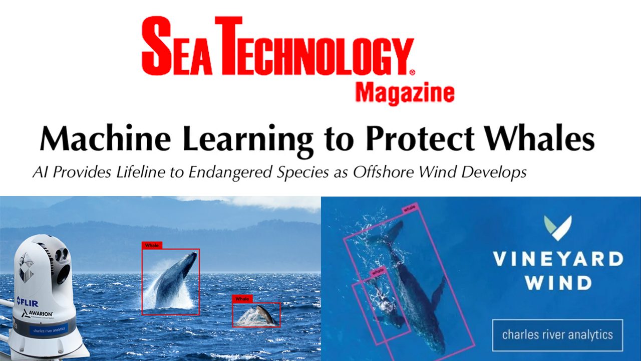 Sea-Tech-whales