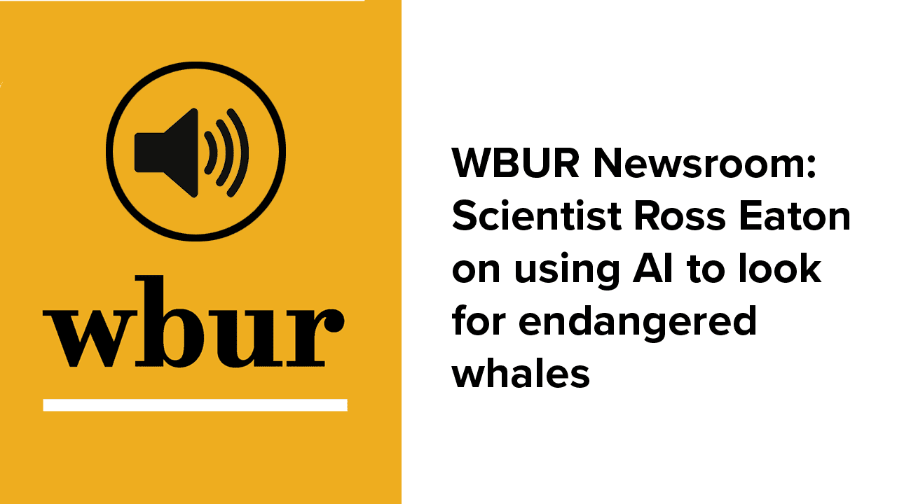 WBUR-AWARION